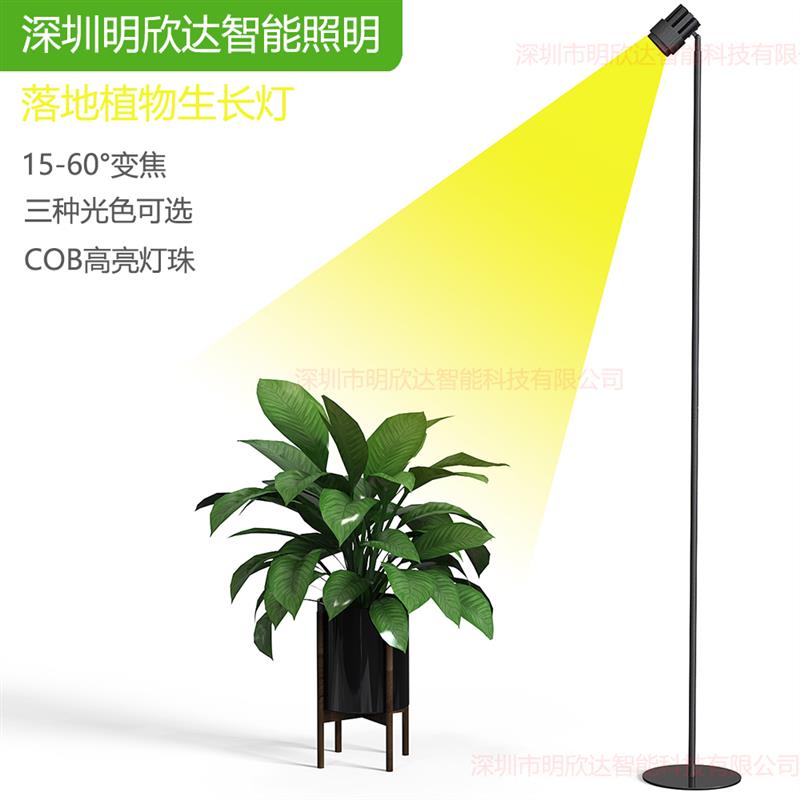 绿植阳光灯植物生长灯落地多肉补光灯彷模拟太阳光照全光谱室内灯