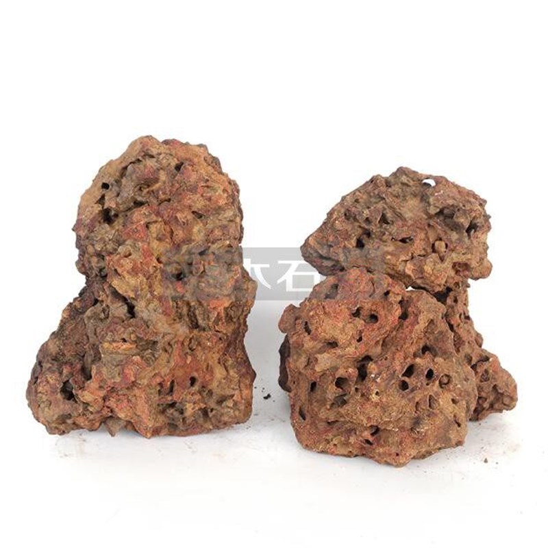天然蚁穴石鱼缸爬宠类洞穴多孔石微景观草缸草坪假山造景装饰石头 - 实物图