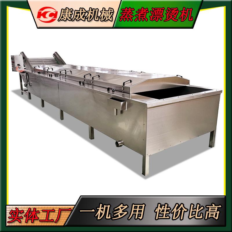 支持定制新疆玉米蒸煮机 时令水果蔬菜漂烫机 网带提升草莓杀青机