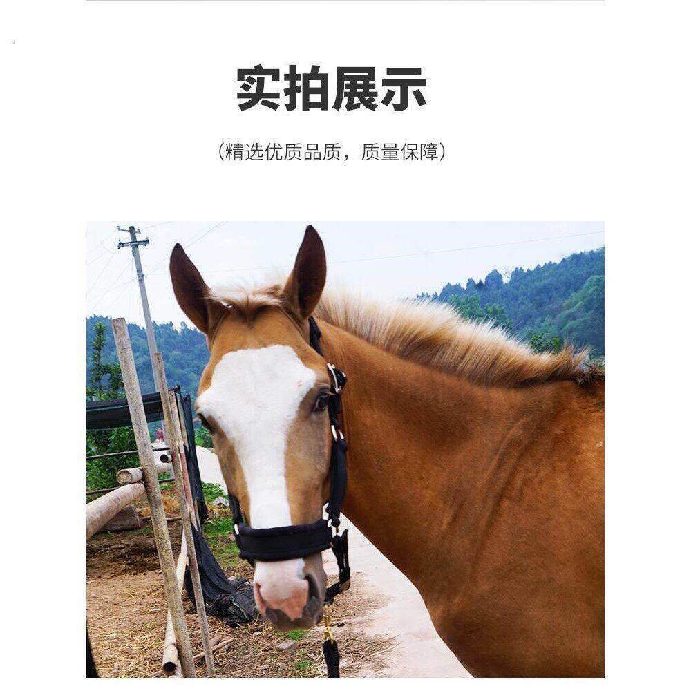加绒高质尼龙络马笼头耐磨可调小马头笼马术
