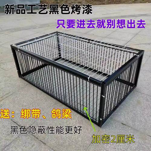 新款加密只进不出鸽子笼天落笼户外撞门笼全自动收鸽笼捕鸽子神器