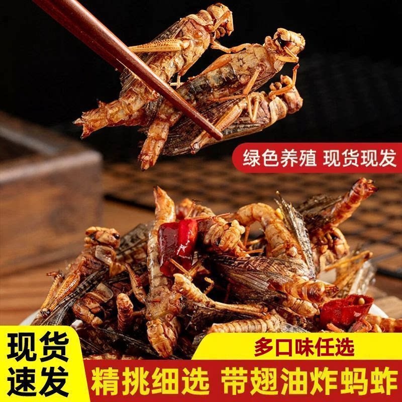 香酥炸蚂蚱夜市美食昆虫小零食