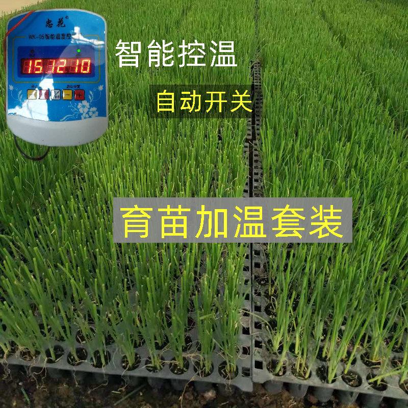 育苗电加热线智能温控器蔬菜大棚温室空气加温线地热地温线增温