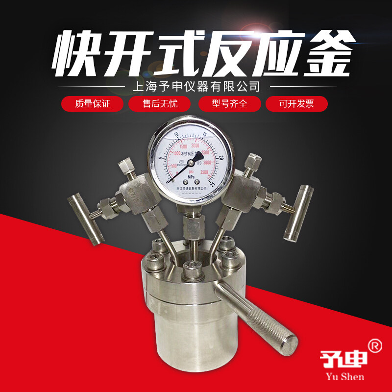 定制快开式高温高压反应釜/法兰式高压釜/压力表数显反应釜加压釜