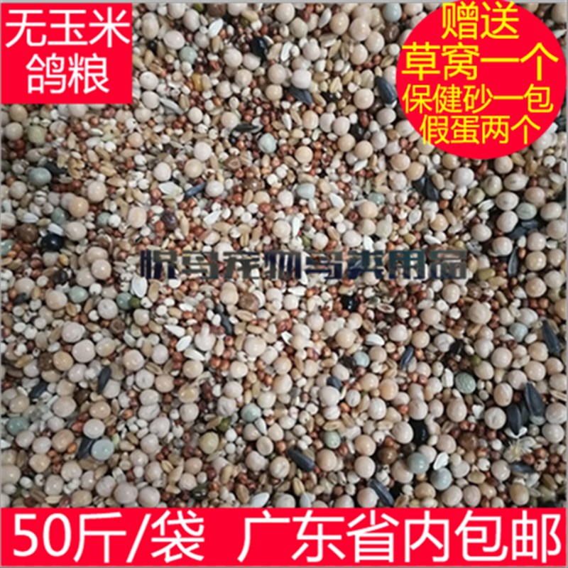 无玉米鸽子粮50斤 鸽粮包邮广东 鸟食信鸽肉鸽免邮饲料 观赏鸽粮