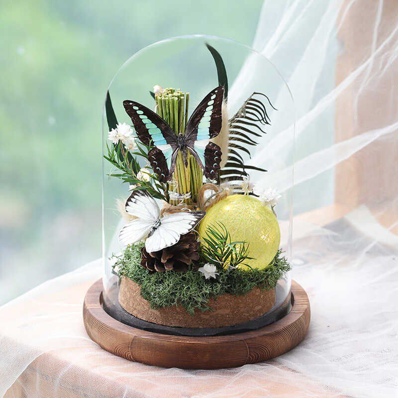 蝴蝶标本植物干花真花玻璃罩摆件昆虫家居生日礼物永生花送男生