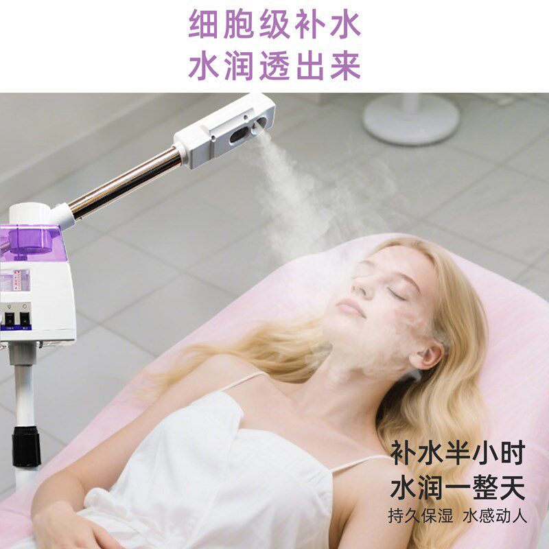 泰东冷热喷雾机美容仪补水双喷蒸脸器热喷仪美容院专用蒸汽蒸脸仪