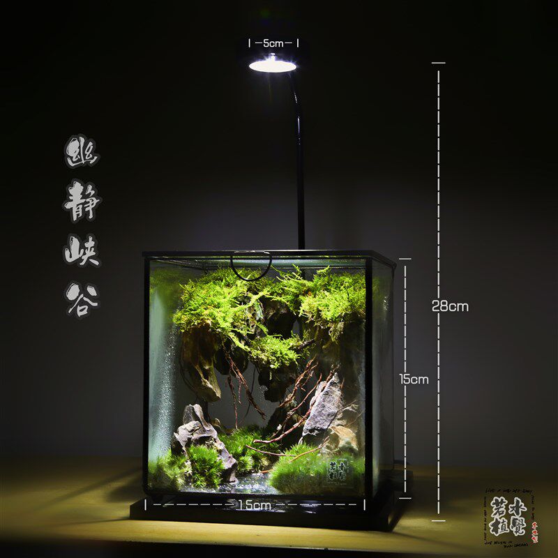 植觉成品苔藓沉木微景观雨林造景创意迷你植物好养盆景顺丰包邮