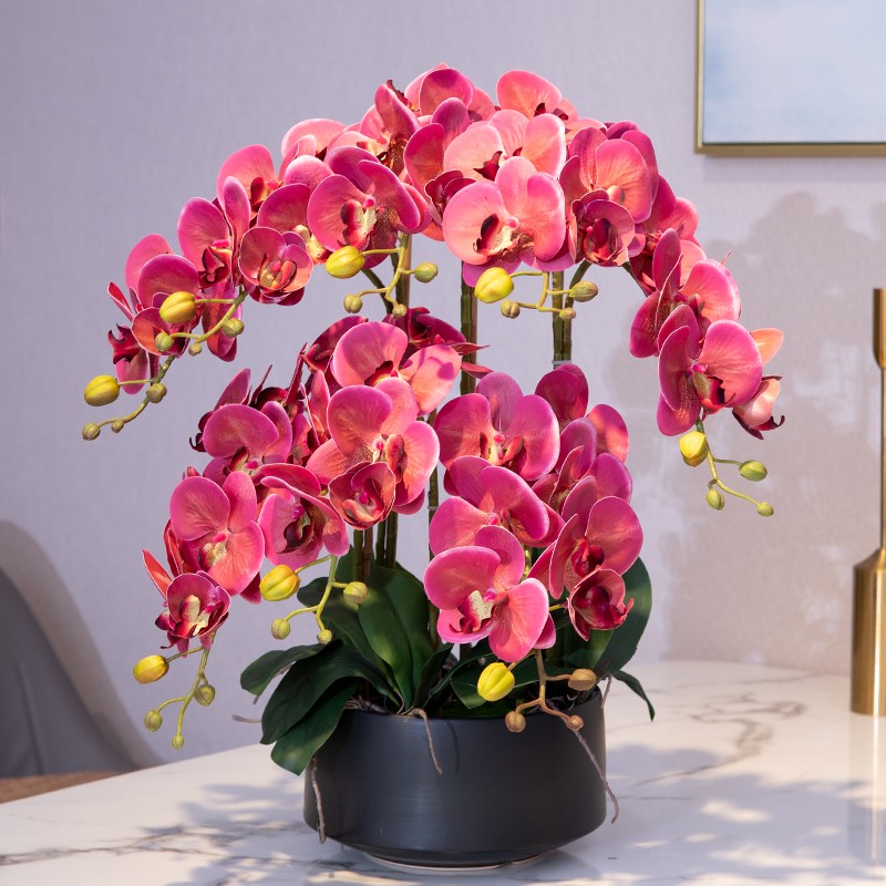 轻奢大蝴蝶兰仿真花套装摆件绢花客厅餐桌假花盆栽装饰餐桌花摆设
