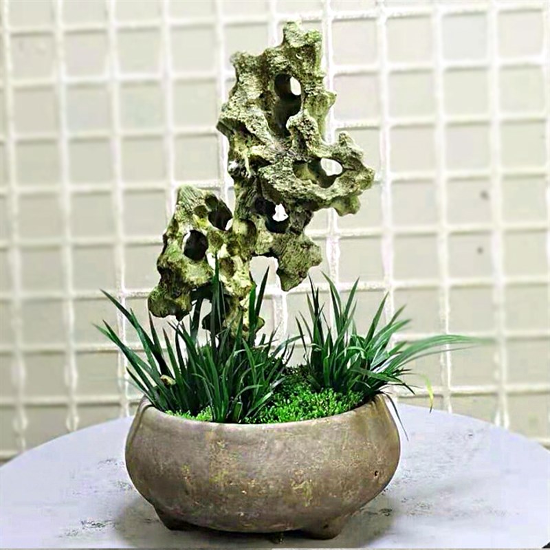老刘石艺台湾吴定石金钱菖蒲附石盆景吸水石太湖石苔藓微景观包邮