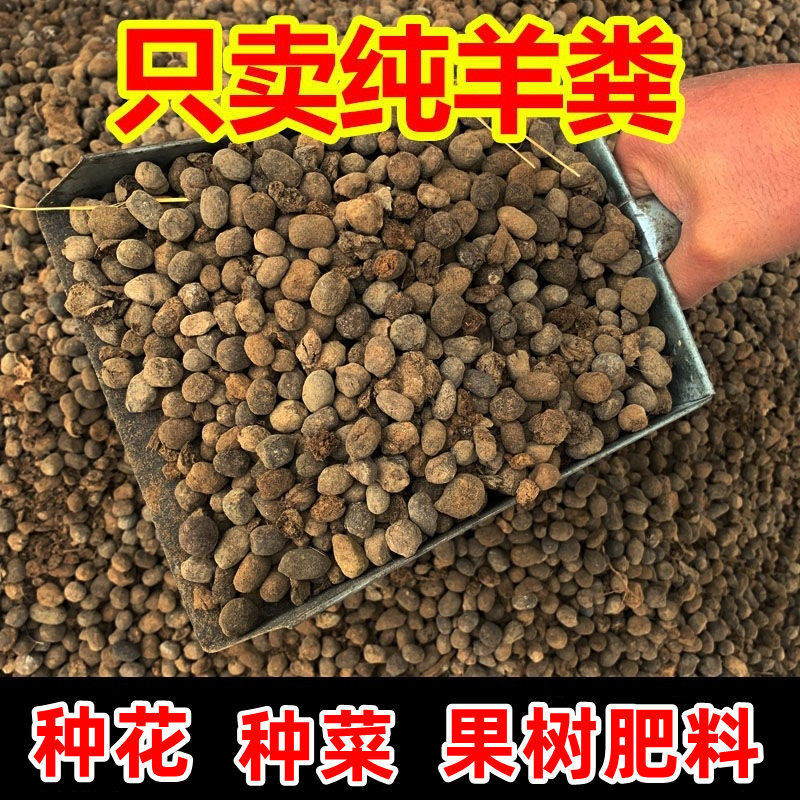 有机肥100-60斤羊粪蛋纯羊粪发酵肥盆栽菜园花卉果树植物通用肥料