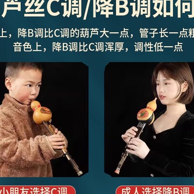葫芦丝乐器小学生专用C调降B调防摔儿童初学者紫竹楠竹树脂胡葫丝