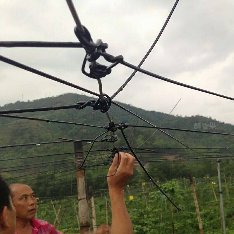塑钢线托膜线大棚线钢塑线多种型号百香果专用