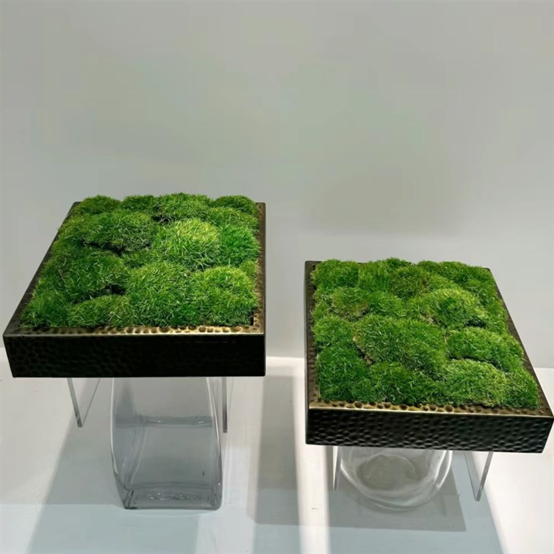 小锤纹大锤纹苔藓圆形方形花盆花托 桌面样板间托盘 植物造景盆