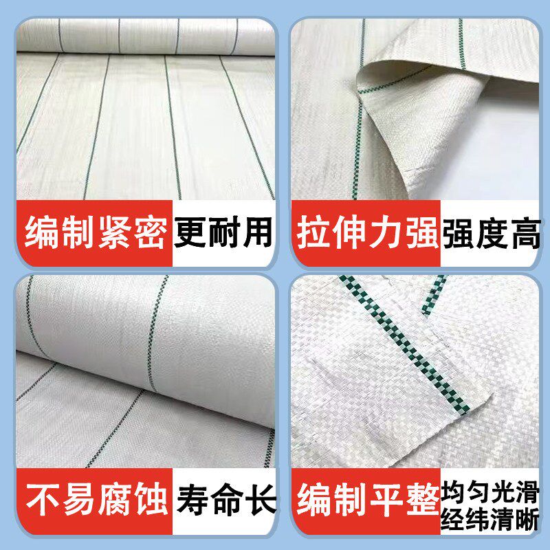 白色PE防草布农用果树果园耐用地膜保湿透气遮除反光除草布大棚
