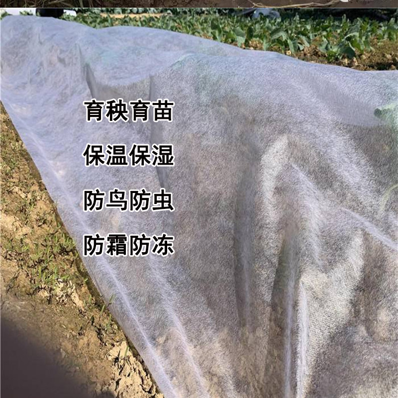 水稻育秧育苗无纺布整卷草籽蔬菜覆盖膜透气农用薄膜保湿防冻