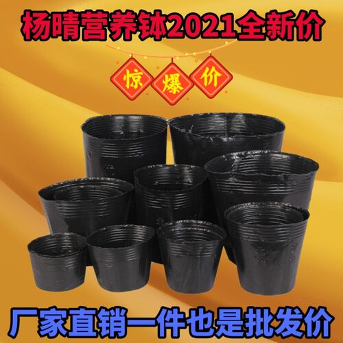 营养钵 营养杯黑色防老化塑料育苗杯 一次性育苗盆育苗袋厂家直销