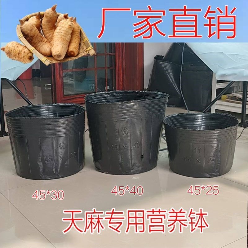 天麻专用种植桶魔芋桶塑料营养钵加厚黑色营养袋大号育苗杯营养袋