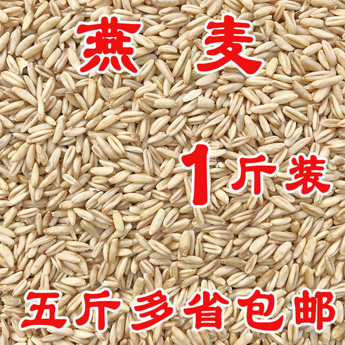 燕麦/鸟食/鸟粮/雀麦/野麦/燕麦仁/虎皮鹦鹉/牡丹玄凤5斤包邮