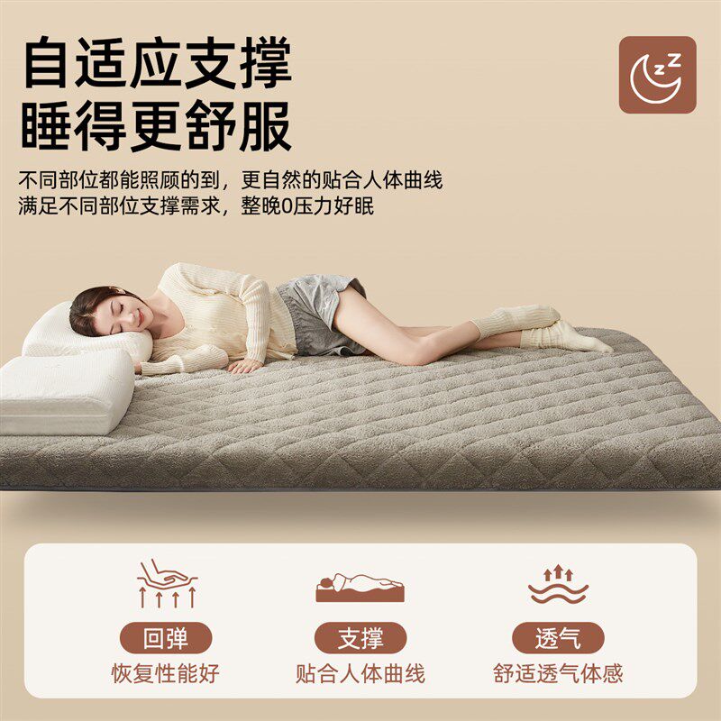 加厚羊羔绒床垫冬季家用卧室软垫宿舍单人加绒加厚褥子保暖床褥垫