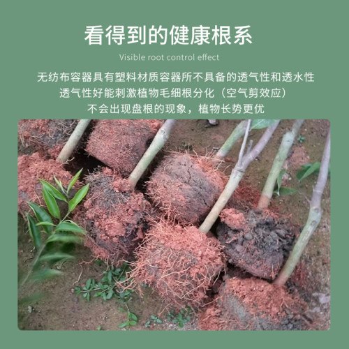 恒态佐农 黑色无纺布美植袋 植物种植袋 植树袋 营养钵花盆育苗袋