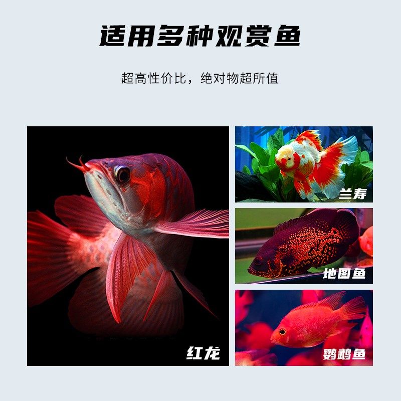 龙鱼灯专用鱼缸灯led灯T8防水超亮潜水灯管鹦鹉照明增艳三基色