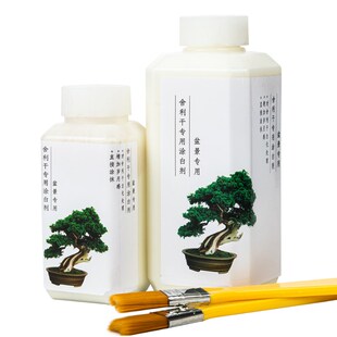 舍利杆涂剂舍利干涂白剂石硫石合剂丝雕舍利工具盆景制作专用用品