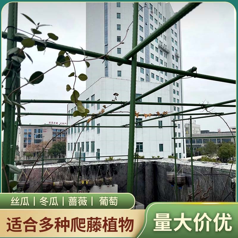 葡萄架爬藤架钢管杆子葡萄架子庭院户外家庭简易黄瓜豆角月季支架