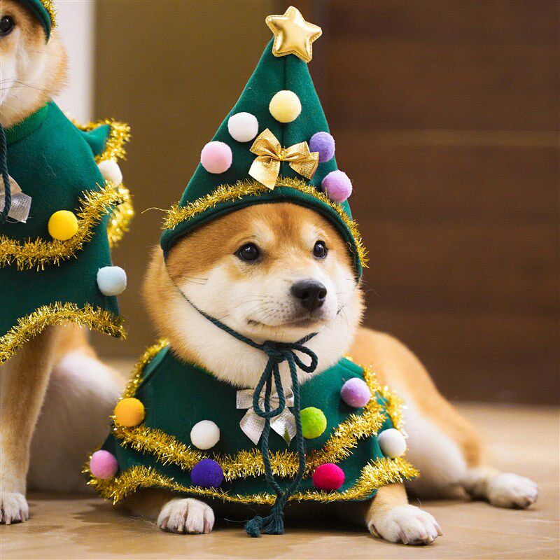 行走的圣诞树 狗狗圣诞节衣服柴犬可爱围脖帽子秋冬喜庆拍照装饰