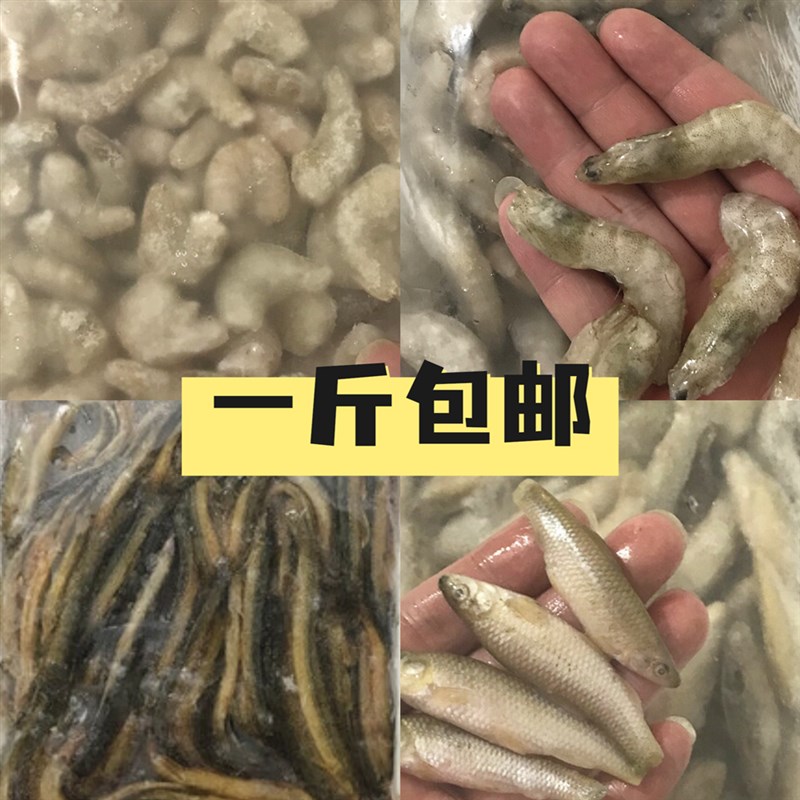 新鲜冻虾鱼饲料 去头尾虾段虾仁泥鳅段麦穗鱼小河虾红虫观赏鱼食