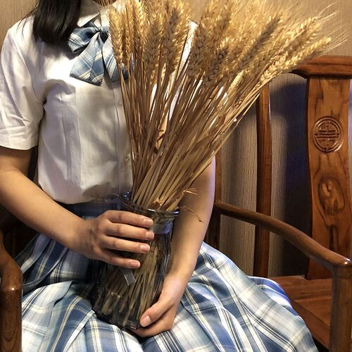 天然麦穗乾燥花花束开业大麦花篮客厅田园风装饰摆件乾燥花插花道