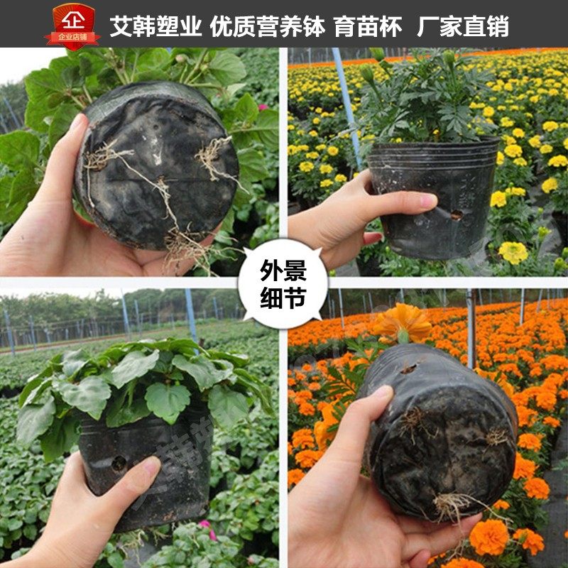 营养钵大棚塑料育苗杯农用天麻花盆黑色育苗袋加厚绿植养花种植袋