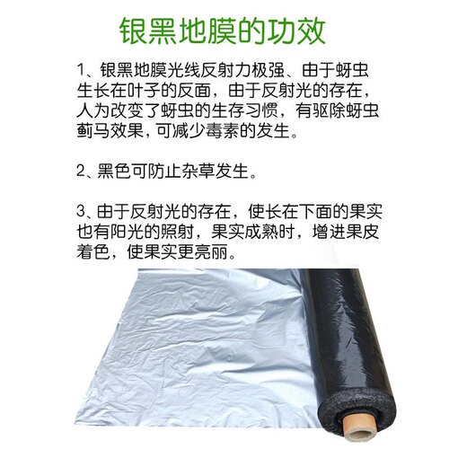 银黑双色农用地膜反光保湿降温除虫除草盖草草莓果园蔬菜大棚专用