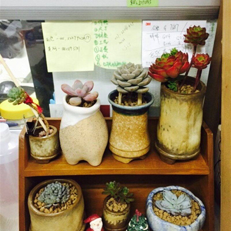 zakka桌面收纳盒化妆品香水收纳柜实木整理收纳架多肉展示架木质
