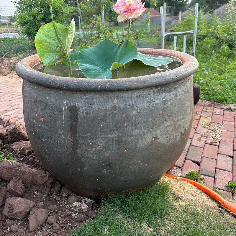 老式大水缸储水家用陶瓷大号养鱼瓦缸粗陶缸陶土小瓷睡莲盆腌菜缸