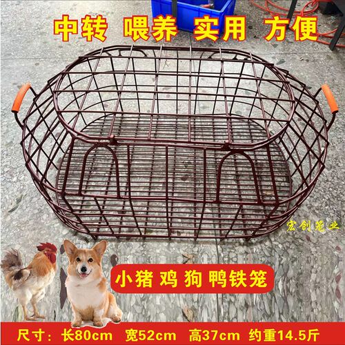 厂价直销铁笼抓猪笼小猪笼猪仔笼狗仔笼运输专用笼猪场设备养殖笼