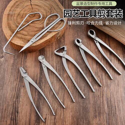 盆景园艺专用工具套装球节剪叶芽剪修枝剪盆景修剪不锈钢剪刀套装