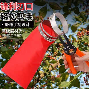 摘花椒神器园艺剪刀修枝剪葡萄专用疏果剪果树采水果修花蔬果剪刀