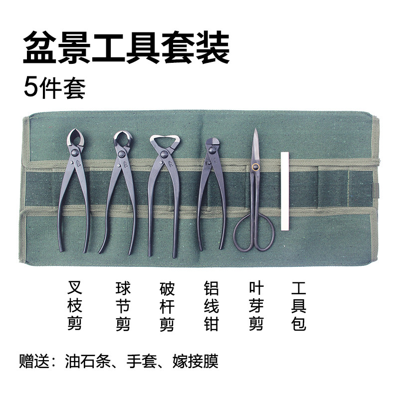 盆景工具套装球节剪破杆钳铝线钳盆景剪刀叶芽剪朱记专业盆景工具