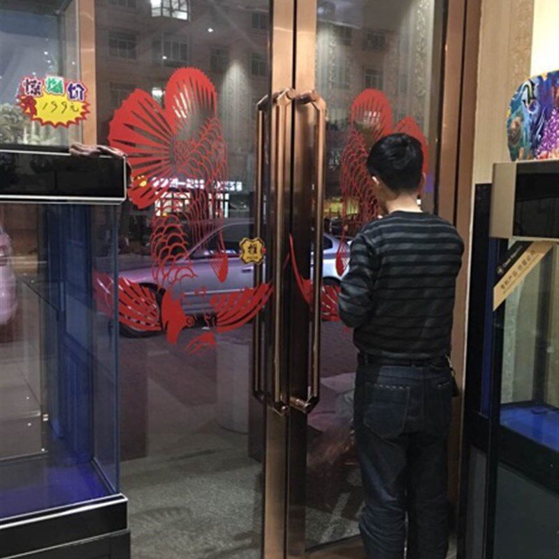 红龙鱼贴纸玻璃门镂空防水装修贴纸l水族ogo设计观赏鱼背胶贴壁纸
