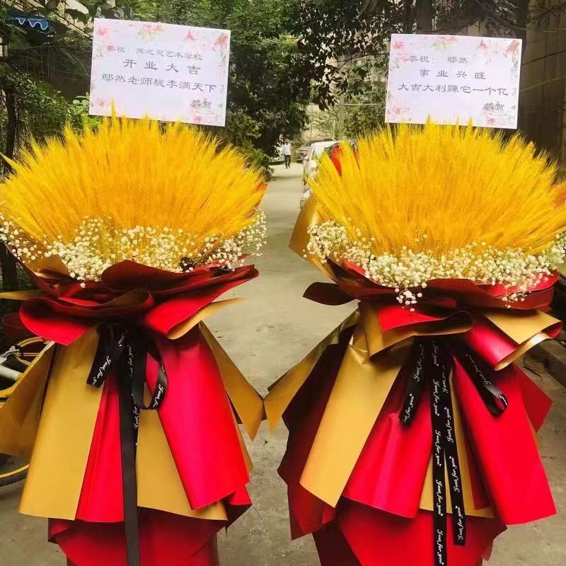 天然麦穗干花花束开业稻穗大麦摆件田园装饰拍摄道具插花苞包邮
