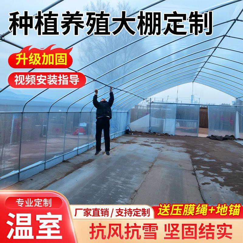大棚骨架种植大棚温室大棚养殖种植蔬菜大棚连体连栋椭圆管棚全套