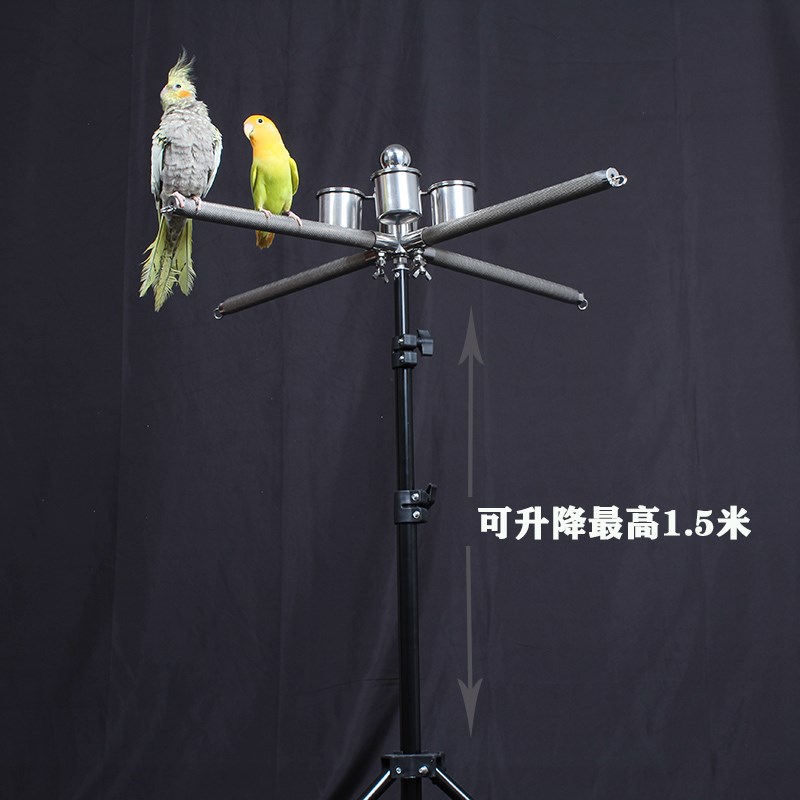 虎皮牡丹玄凤四鸟鹦鹉站架 中小型不锈钢鸟架饲养架子中小型鹦鹉