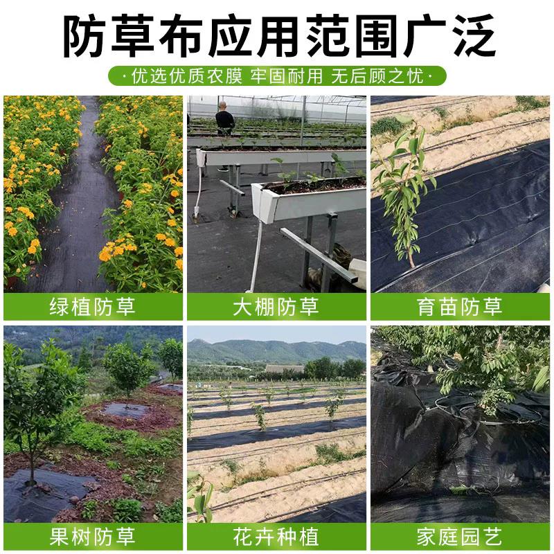 防草布除草布耐用抗老化果树遮草布盖草大棚园艺地膜地布塑料地钉
