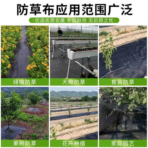 防草布除草布耐用抗老化果树遮草布盖草大棚园艺地膜地布塑料地钉