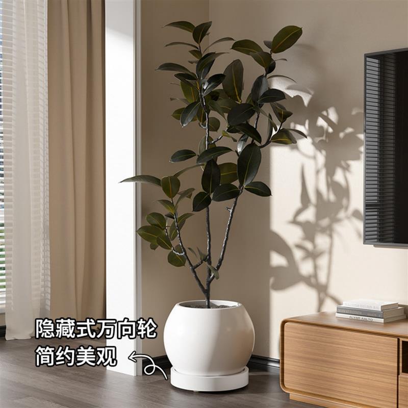 移动花盆托盘万向轮承重盆托大绿植盆栽塑料底座花盘白色带接水盘