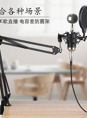 电容麦克风支架防震架通用桌面悬臂带防喷网小奶瓶话筒可调节咪罩