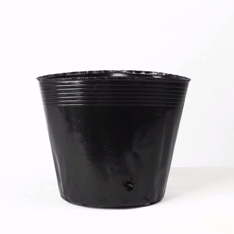 营养钵黑色营养杯塑料育苗杯一次性黑碗多肉花盆加厚育苗袋育苗盆