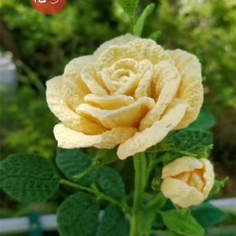 蓝月家毛线花之新版玫瑰花材料包(不含钩针花盆)新手慎拍