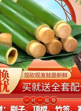 竹筒粽子模具新鲜家用做竹筒摆摊专用商用竹子竹筒蒸饭筒竹桶粽子
